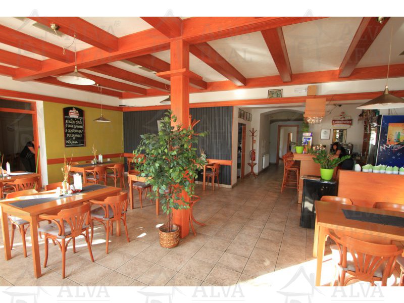 Zavedený pension s restauračním a ubytovacím zařízení s bowlingem a vinárnou v obci Vojkovice, pozemek o rozloze 3055 m2.