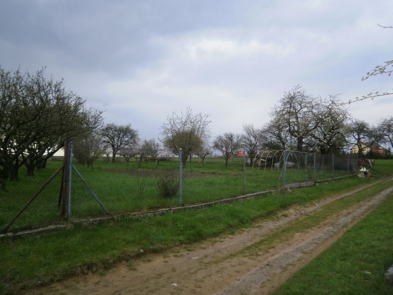 Prodej Krasová Krasová