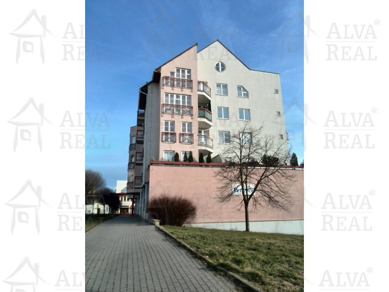 Pronájem bytu 2+1 Brno Líšeň, ul. Kotlanova, CP 75 m2, 2 lodžie. | | Brno Pronájem bytu 2+1 Brno Líšeň, ul. Kotlanova, CP 75 m2, 2 lodžie. | | Brno