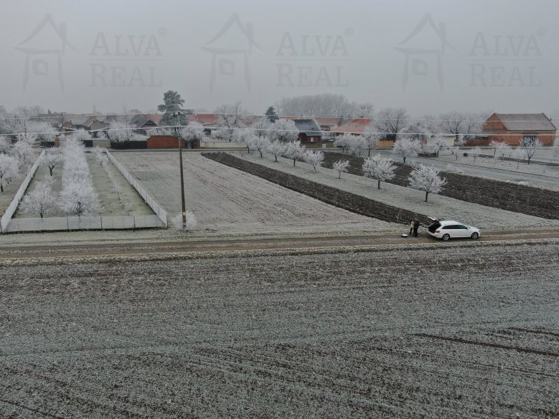 Image detail - Pozemek v Ivani u Prostějova 1633 m2 určený jako soukromá zeleň, elektřina a voda je u pozemku.