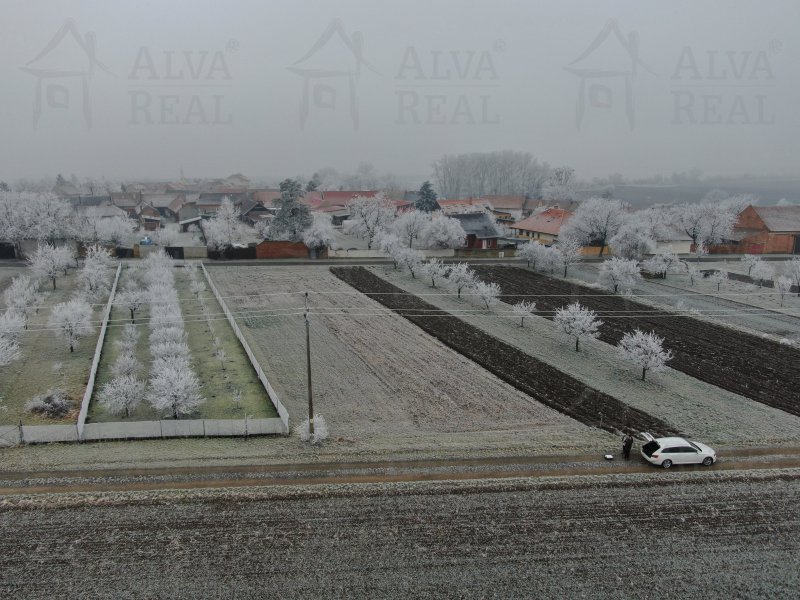 Image detail - Pozemek v Ivani u Prostějova 1633 m2 určený jako soukromá zeleň, elektřina a voda je u pozemku.