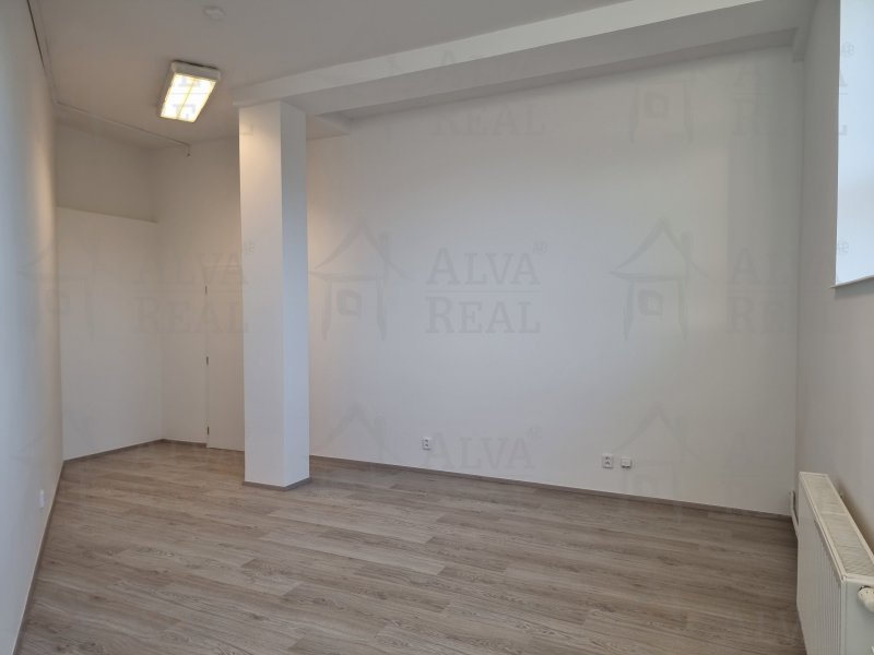 Image detail - Pronájem bytu 1+1 v Brně Slatině ulice Tuřanka, areál firmy Hraspo, nově zrekonstruované, 49 m2.