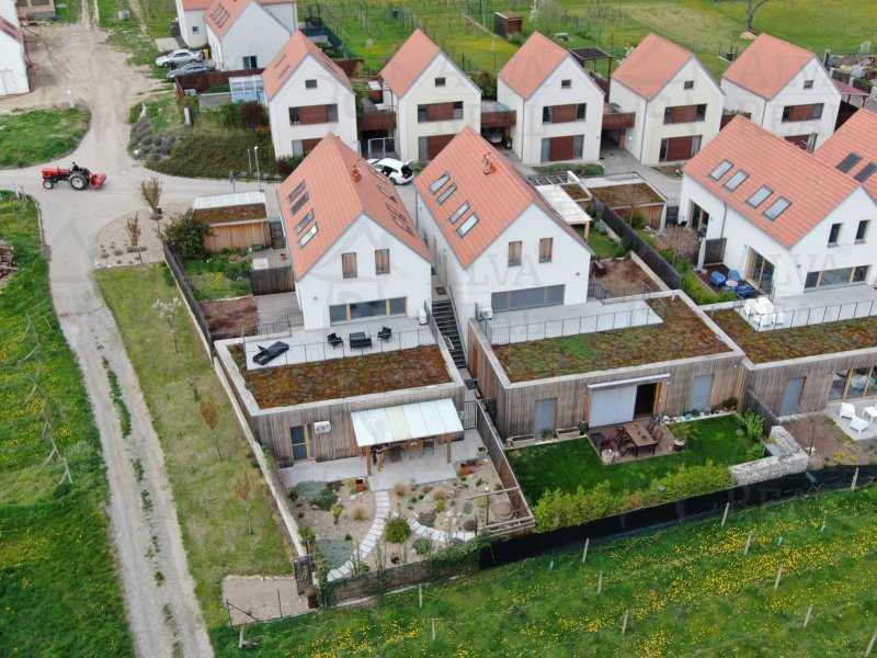 Image - Nabízíme Vám k prodeji apartmánový byt - 58 m2 v Pavlově u Dolních Věstonic u Mušovských jezer s okrasnou zahradou 92 m2.