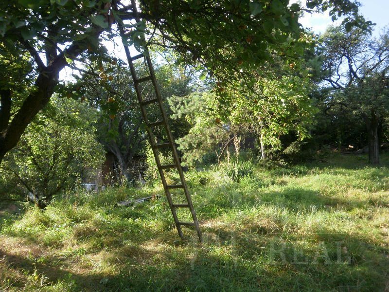 Image detail - Dlouhodobý pronájem chaty se zahradou v Brně v k. ú. Sadová, ZP 32 m2, zahrada 2.265 m2, příjezd autem, elektřina v chatě.