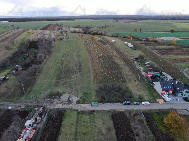 Prodej pozemku pro výstavbu řadového rodinného domu v Dolních Bojanovicích, o celkové výměře 2484 m2 |  | Dolní Bojanovice