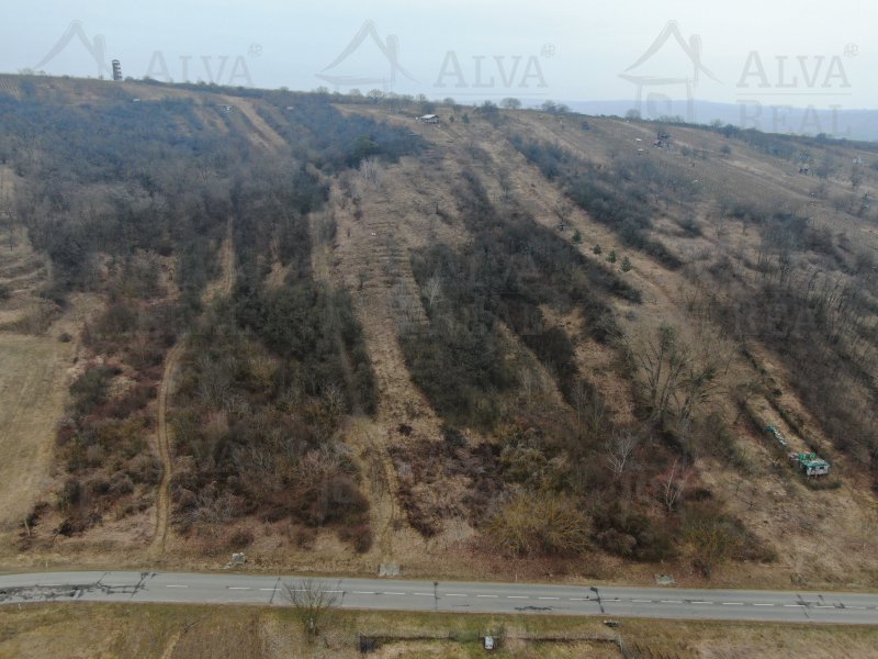 Image - Exkluzivně nabízíme k prodeji sad, vinici - trvalý travní porost o výměře 4423 m2
