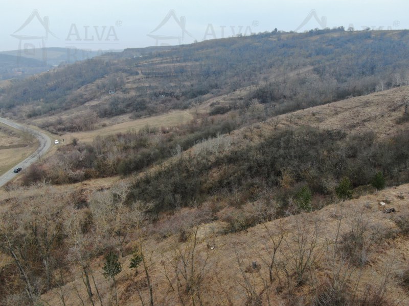 Image detail - Exkluzivně nabízíme k prodeji sad, vinici - trvalý travní porost o výměře 4423 m2