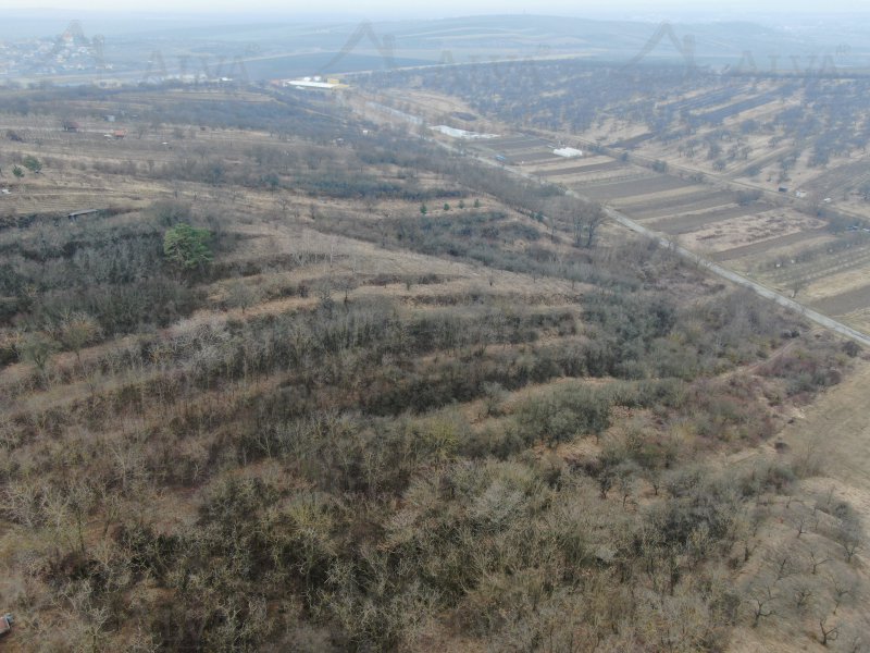 Image detail - Exkluzivně nabízíme k prodeji sad, vinici - trvalý travní porost o výměře 4423 m2