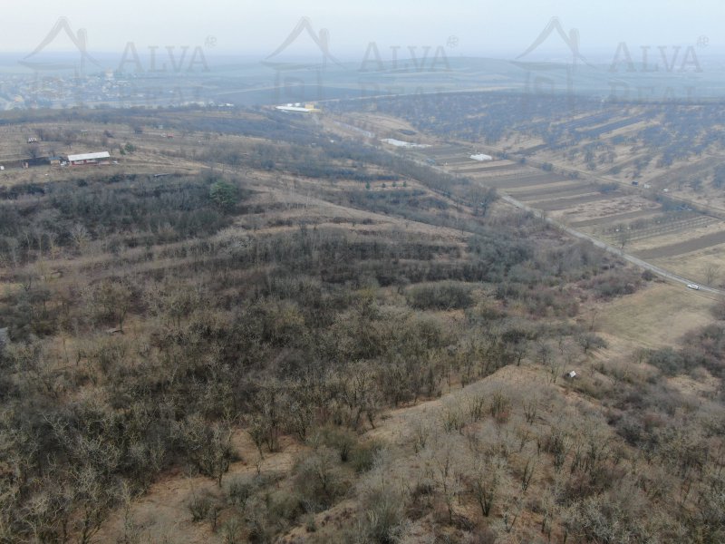 Image detail - Exkluzivně nabízíme k prodeji sad, vinici - trvalý travní porost o výměře 4423 m2