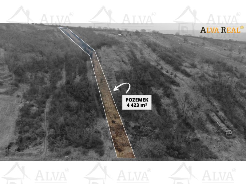 Image detail - Exkluzivně nabízíme k prodeji sad, vinici - trvalý travní porost o výměře 4423 m2