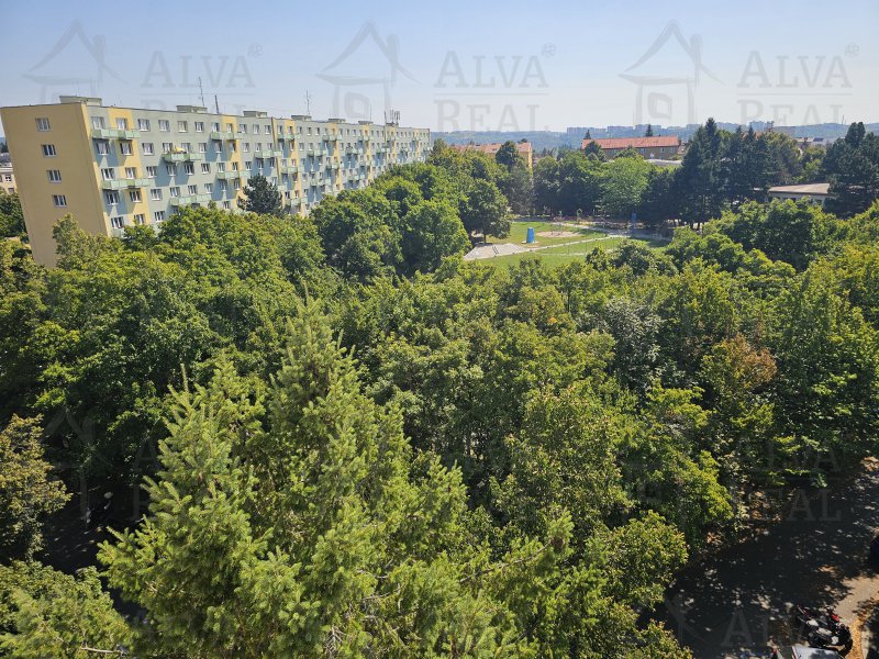 Image detail - Prodej bytu 3+kk 55 m², Brno - Černá Pole, nám. SNP, sklep, klimatizace.