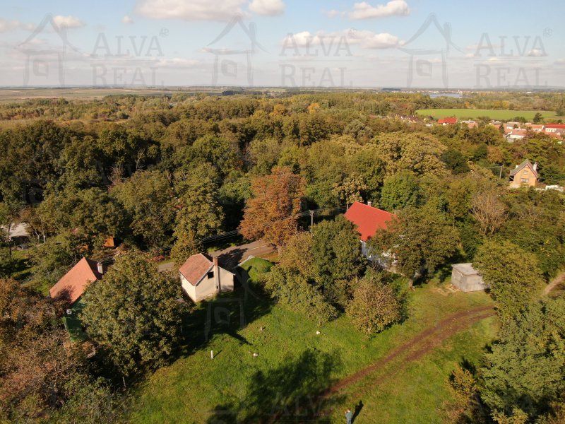 Image detail - Prodej vinného sklepa v obci Brod nad Dyjí, celková plocha pozemku 192 m2. Elektřina, voda.