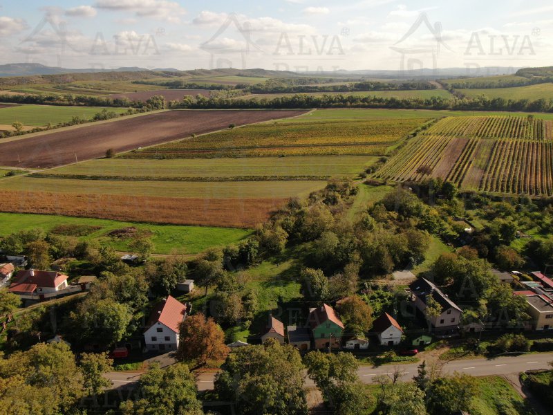 Image detail - Prodej vinného sklepa v obci Brod nad Dyjí, celková plocha pozemku 192 m2. Elektřina, voda.