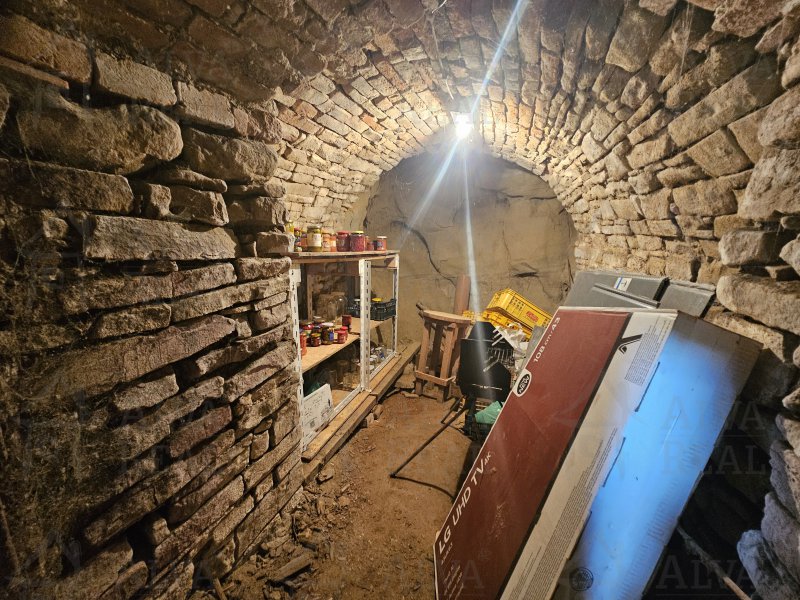 Image detail - Prodej RD ve Ždánicích o dispozici 1+1, CP 357 m², zahrada, sklep.