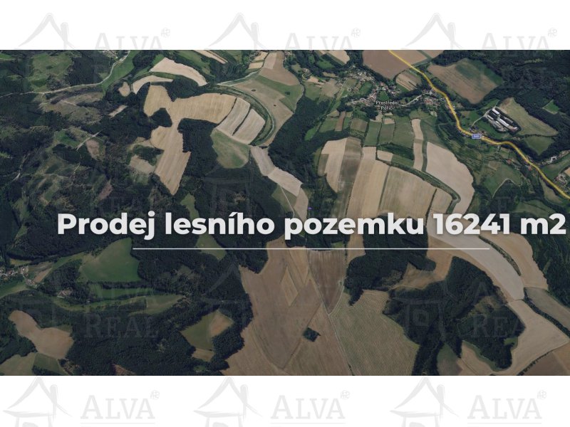 Image detail - Lesní pozemek v Prostředním Poříčí o výměře 16241 m2 - investice do přírody.
