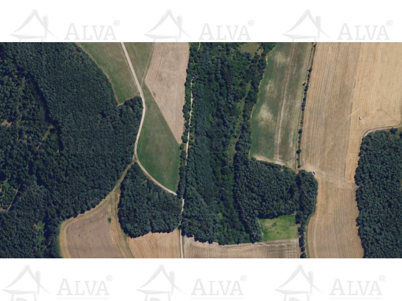 Image detail - Lesní pozemek v Prostředním Poříčí o výměře 16241 m2 - investice do přírody.